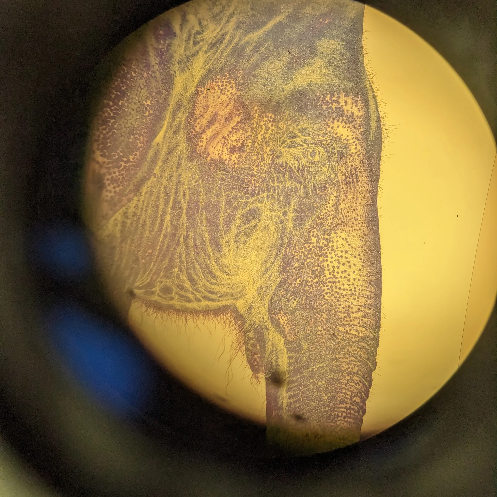 PXL_20250328_134010586.MP 1:1
