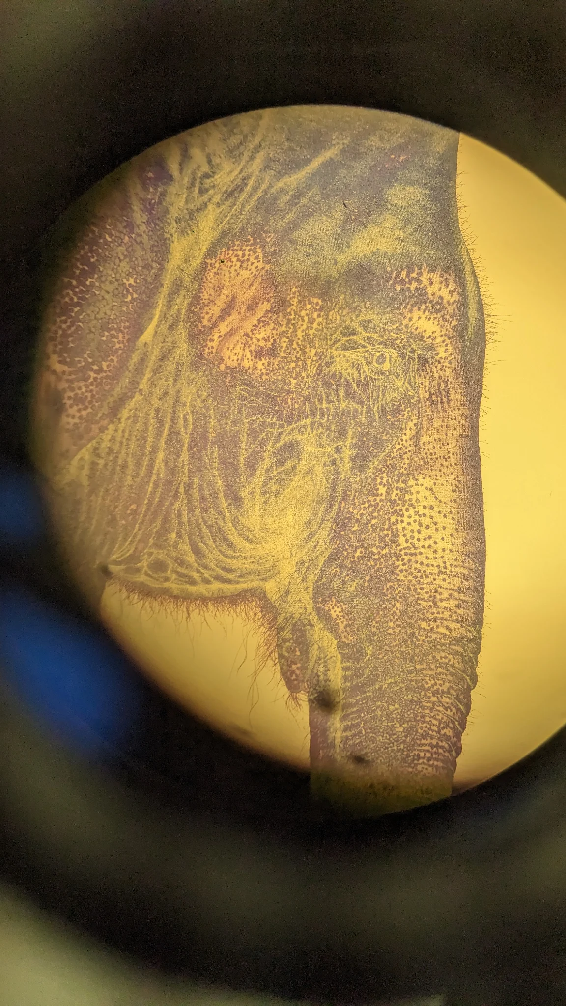 PXL_20250328_134010586.MP 9:16