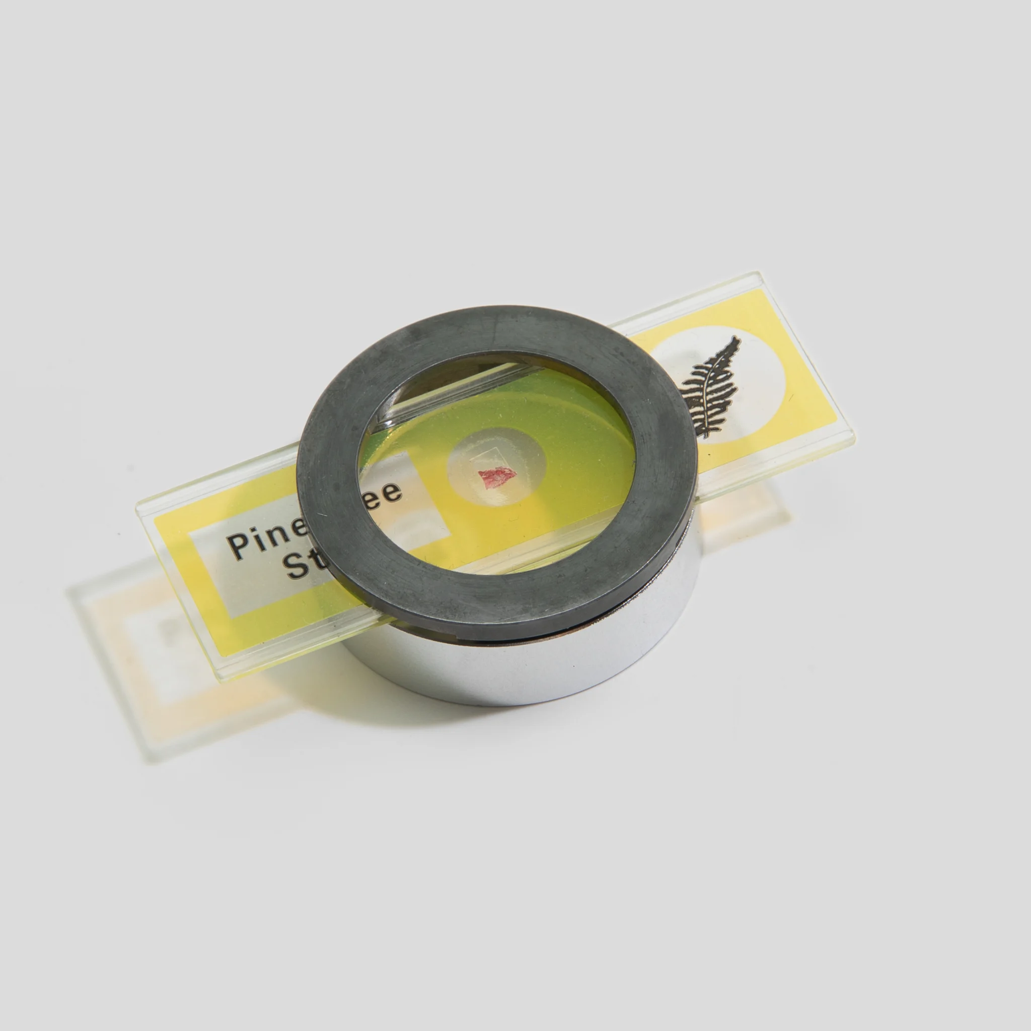 _DSC3318-Edit 1:1